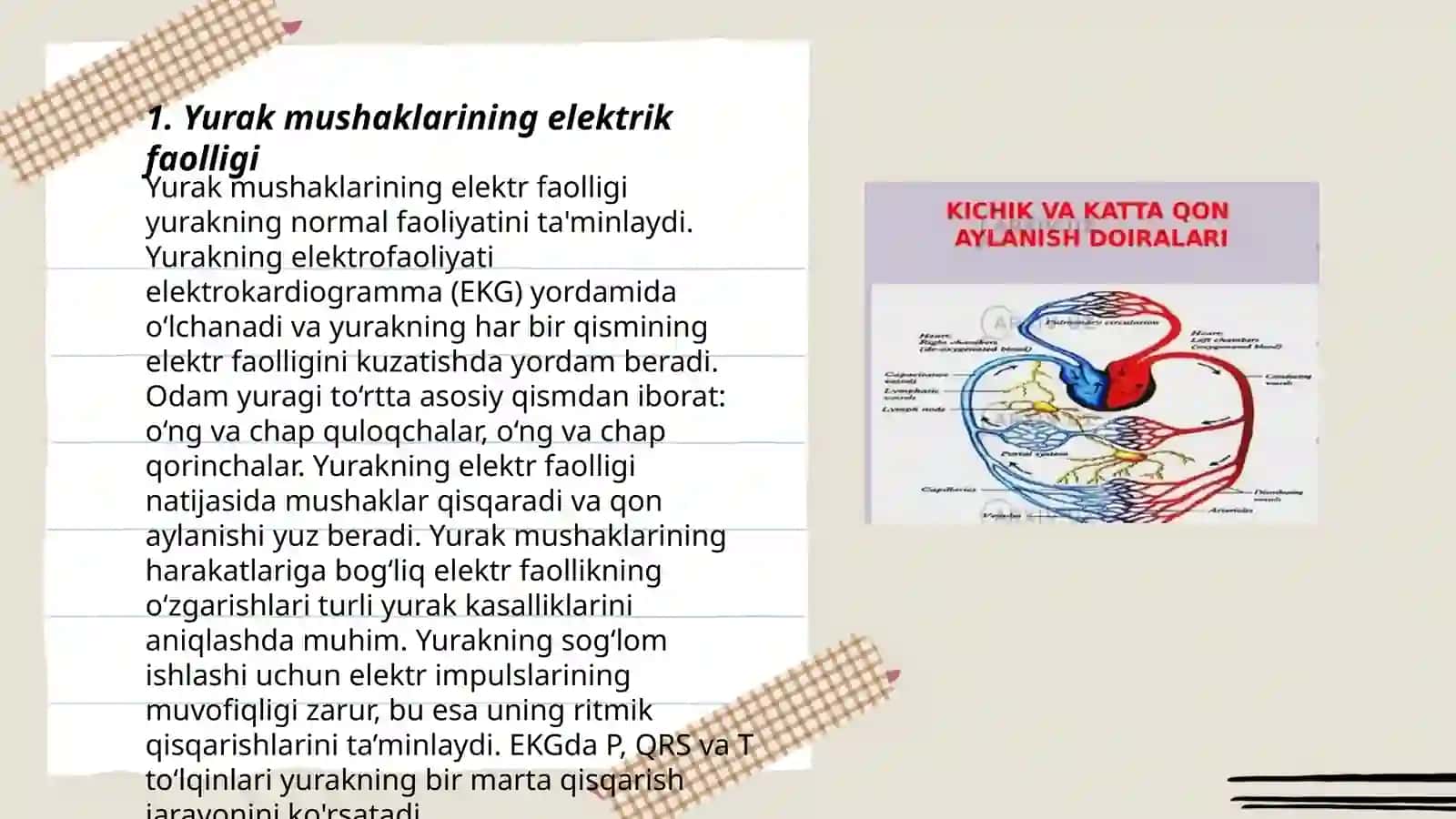 Gemodinamika. Yurak faoliyatining fizikaviy asoslari 3