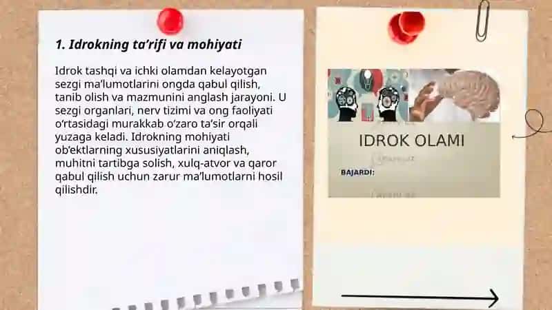 IDROK 3
