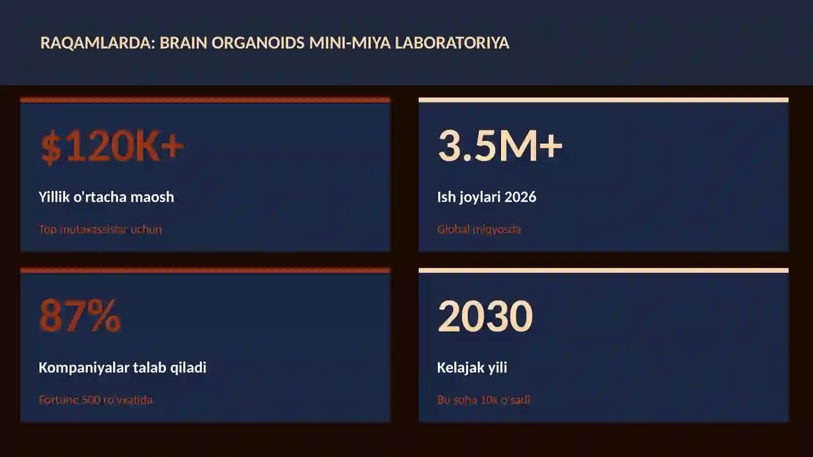 Brain organoids mini-miya laboratoriya 3