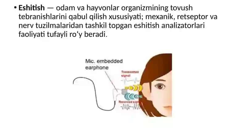 Eshitish, Hidbilish va Ta'mbilisha Zolari 3