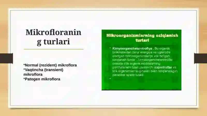 Mikroflora tushunchasi 3