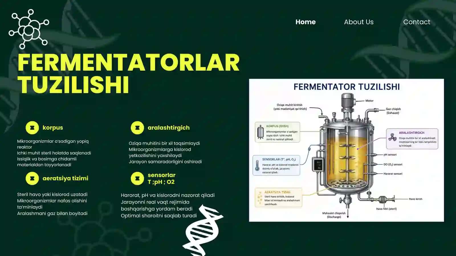 BIOTECHNOLOGY Fermentatorlarning tuzilishi va ishlash prinsipi 3