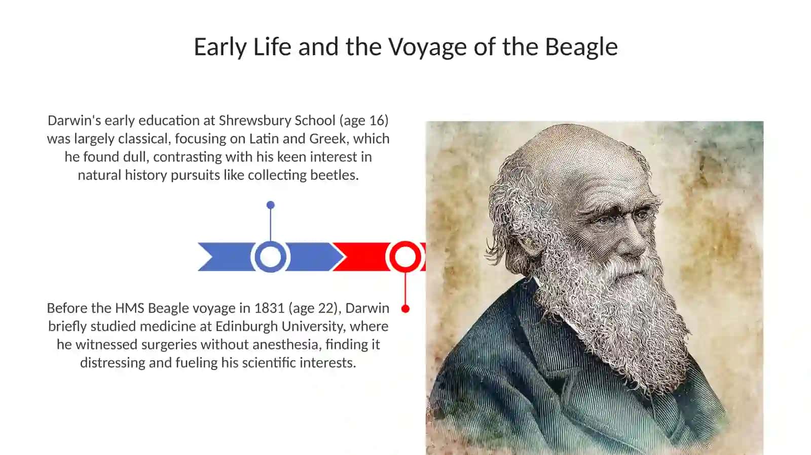 Charles Darwin 3