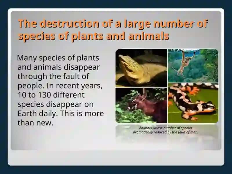 Global environmental problems and solutions 3