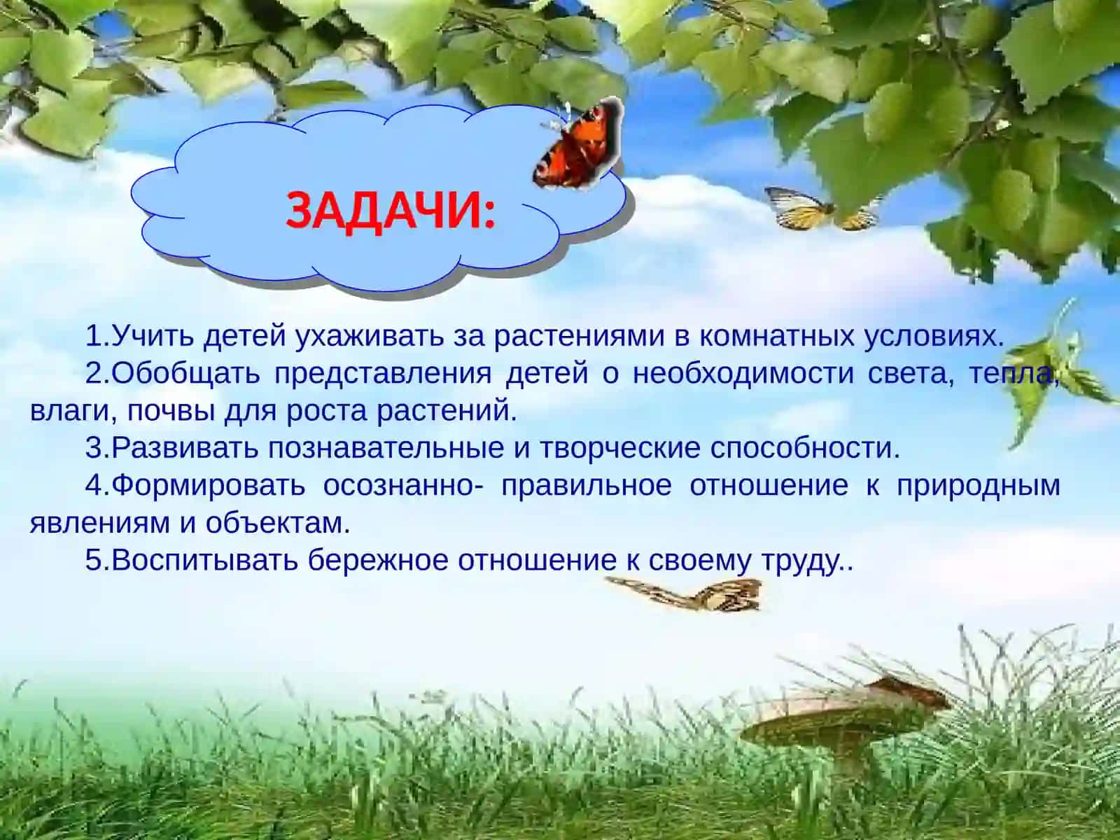 «Растительный мир вокруг нас» 3