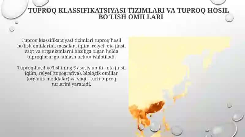 Tuproqlar tasnifi, tarqalish qonuniyatlari 3