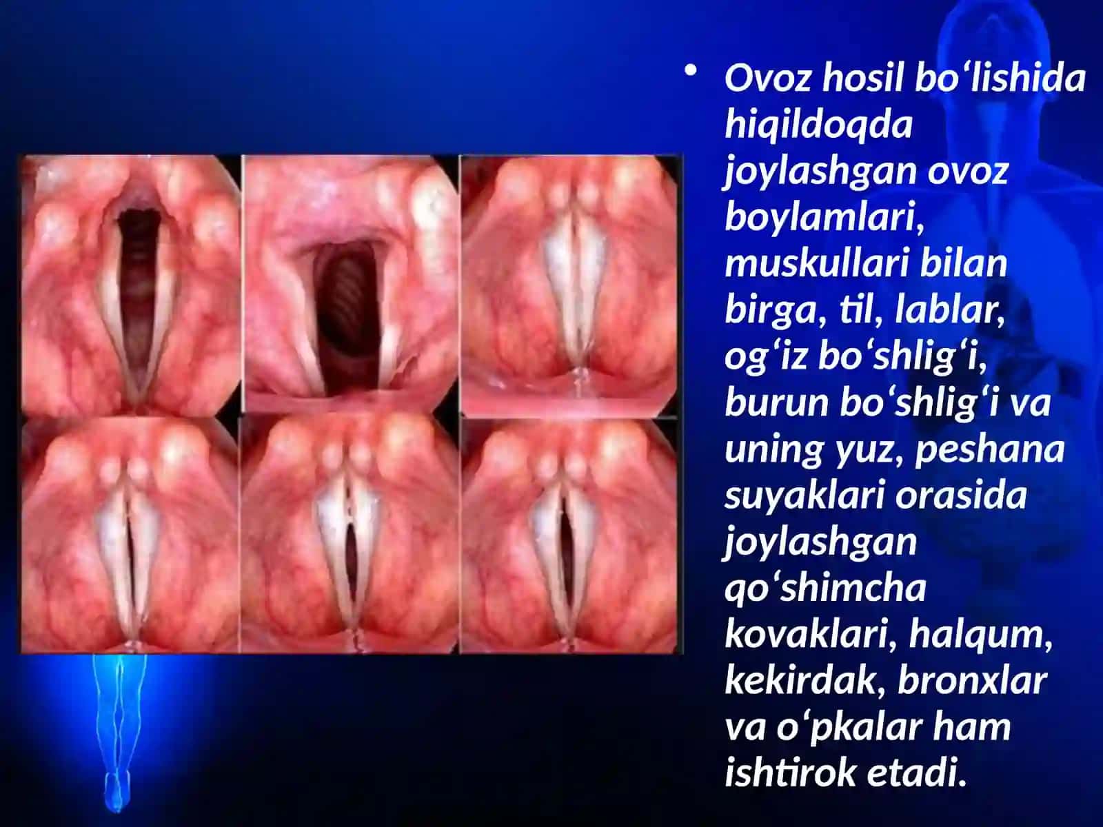 Ovoz apparati 3