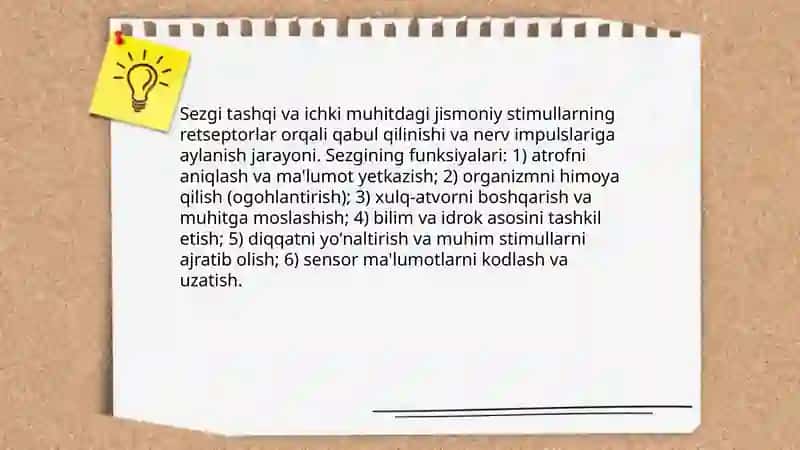 Sezgi 3