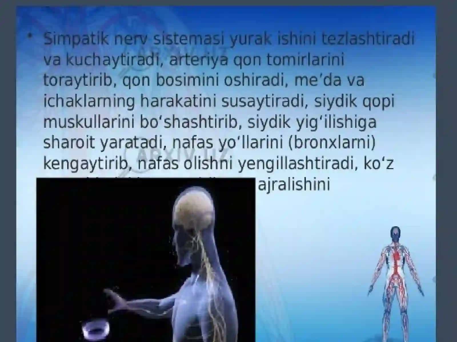 Vegetativ nerv sistemasining faoliyatini o'rganish 3