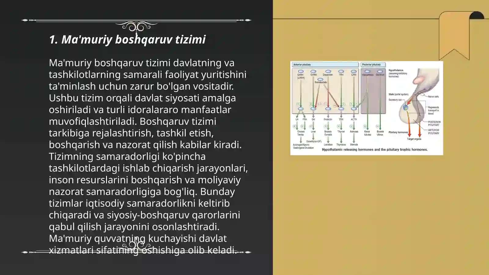 Ma'muriy - siyosiy sohani ma'muriy huquqiy tartibga soluvchi boshqaruv orgonlari faoliyatida ma'muriy protsess 3