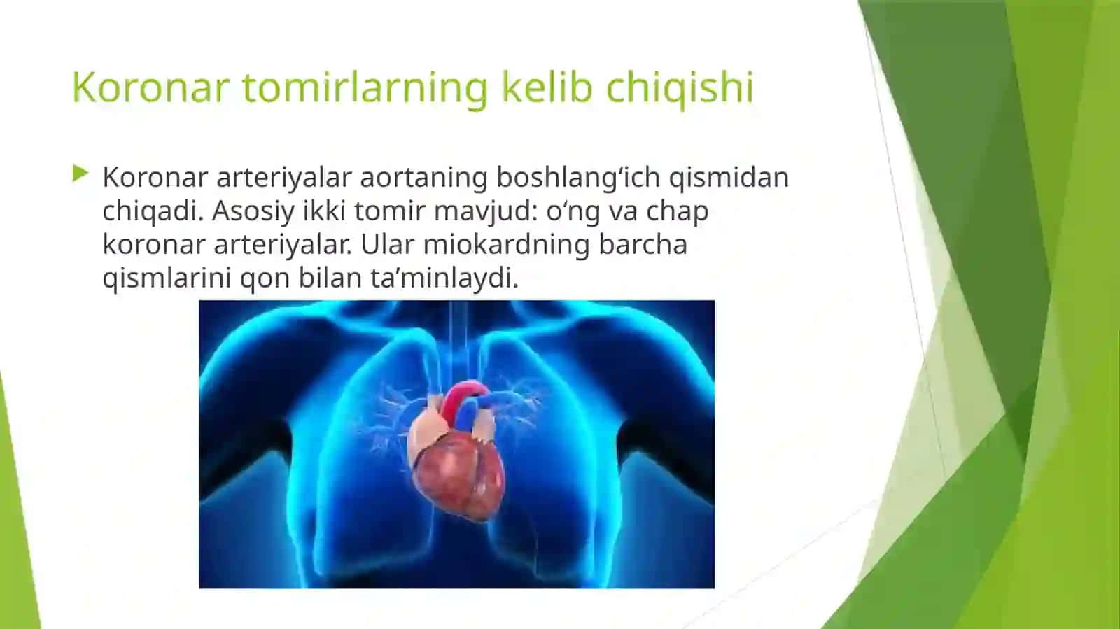Koronartomirlardaqonaylanishi 3