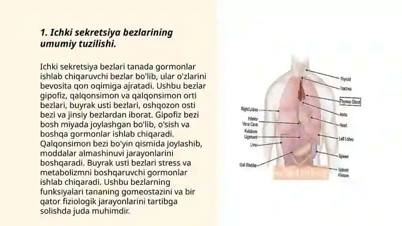 Ichki sekretsiya bezlari. Ayol jinsiy gormonlari. Reproduktiv funksiyada gormonlarning ahamiyati 3