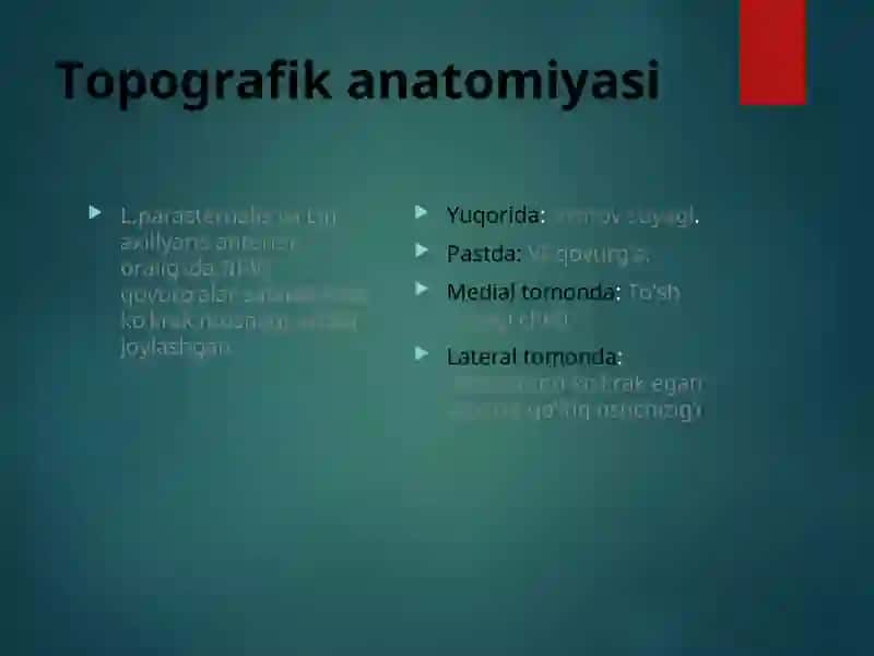 Sut bezi saratoni ekologiyasi, tasnifi, klinik belgilarini tahlil qilish 3
