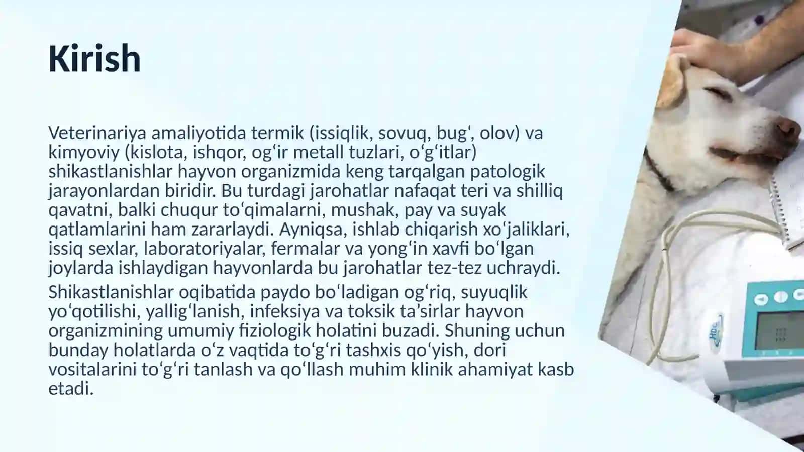 Termik va kimyoviy shikastlanishlarda dori vositalarini tayyorlash 3