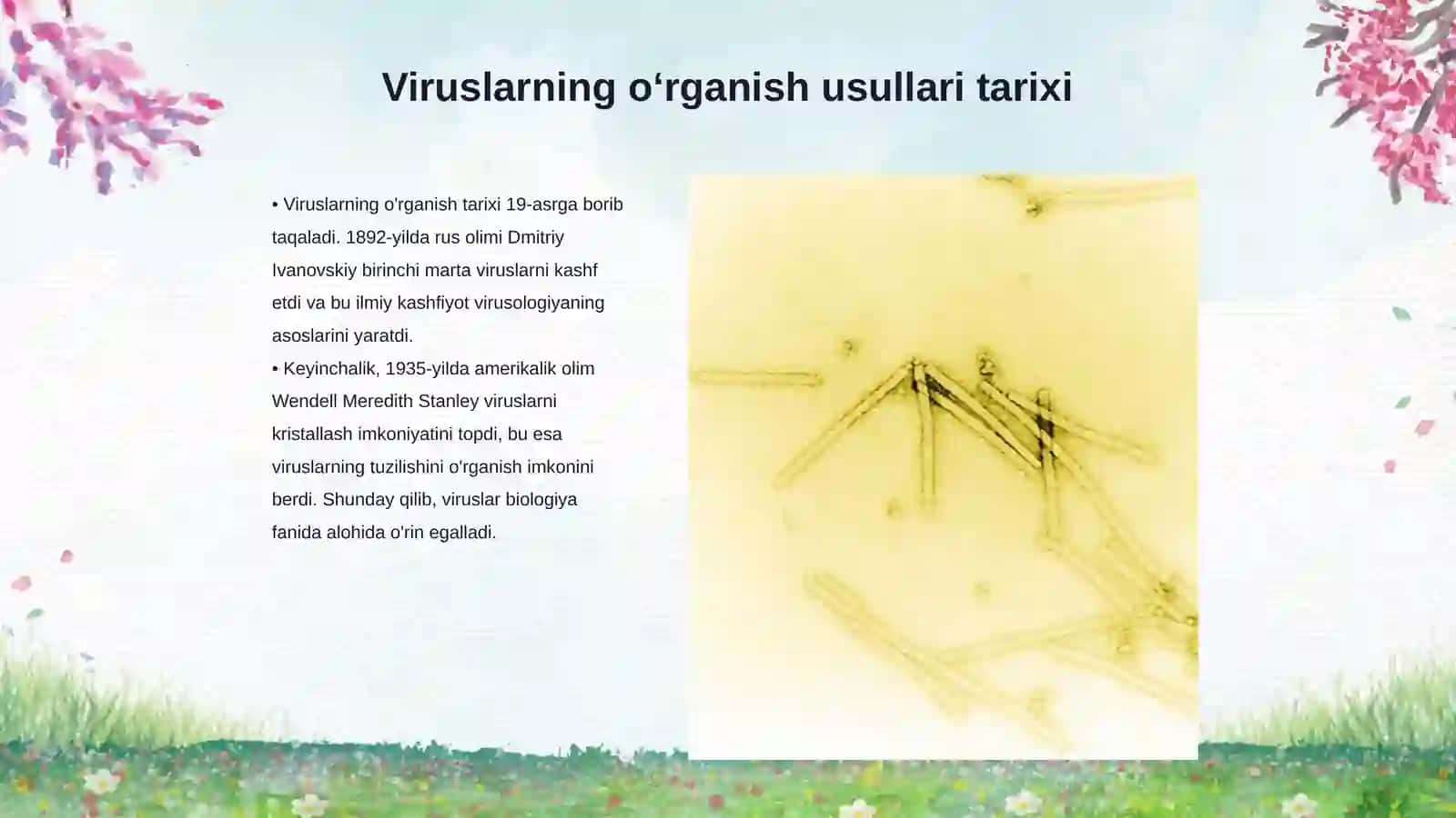 Viruslarning oʻrganish usullari 3