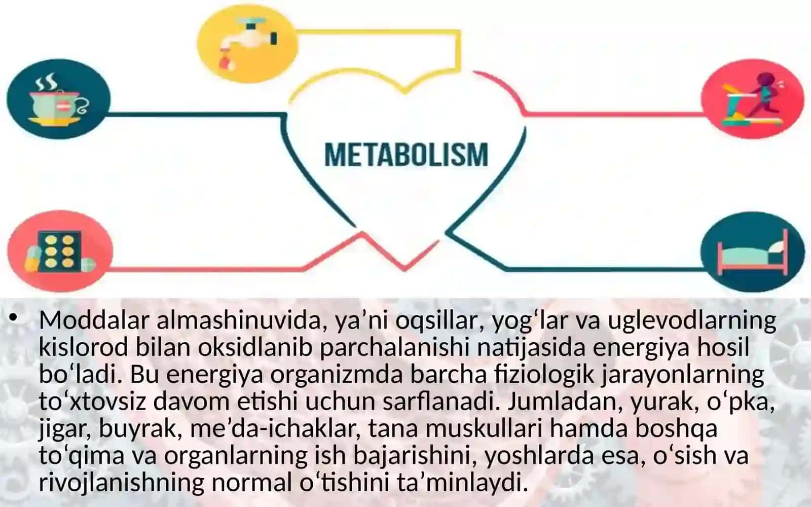Energiya almashinuvi 3