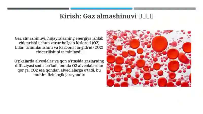 Qondaki s'orod va karbonat angidrid tashilishining mexanizmlari 3