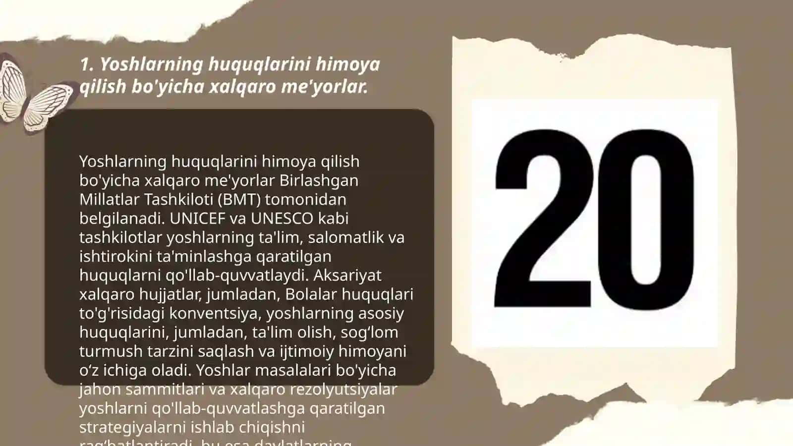 Yoshlarning huquqlarini himoya qilish bo'yicha xalqaro me'yorlar 3