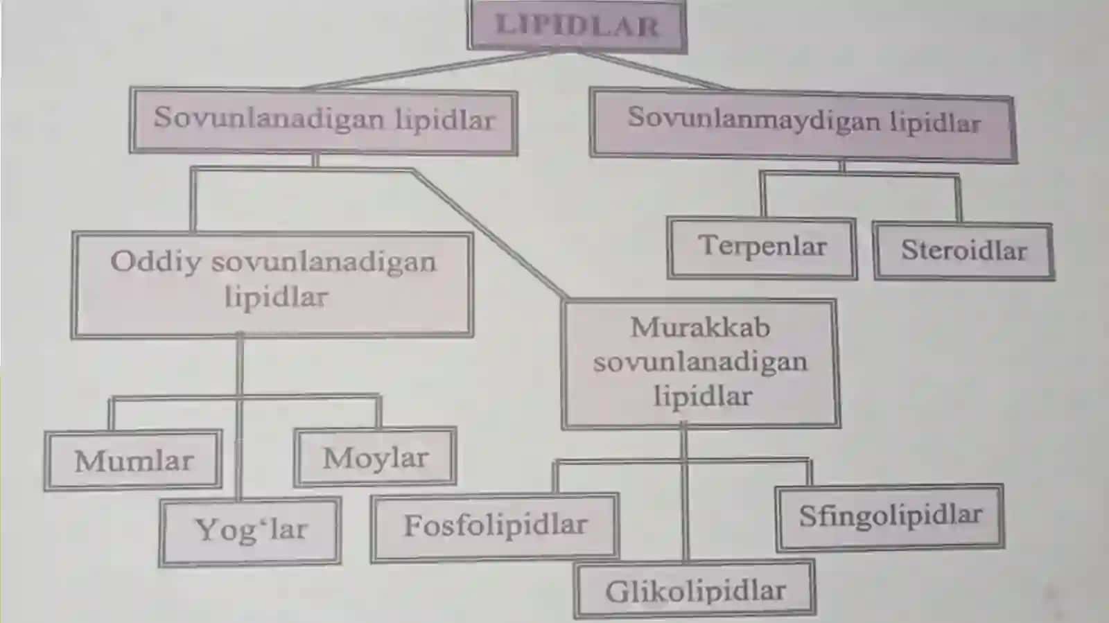 LIPIDLAR.SOVUNLANADIGAN LIPIDLAR 3