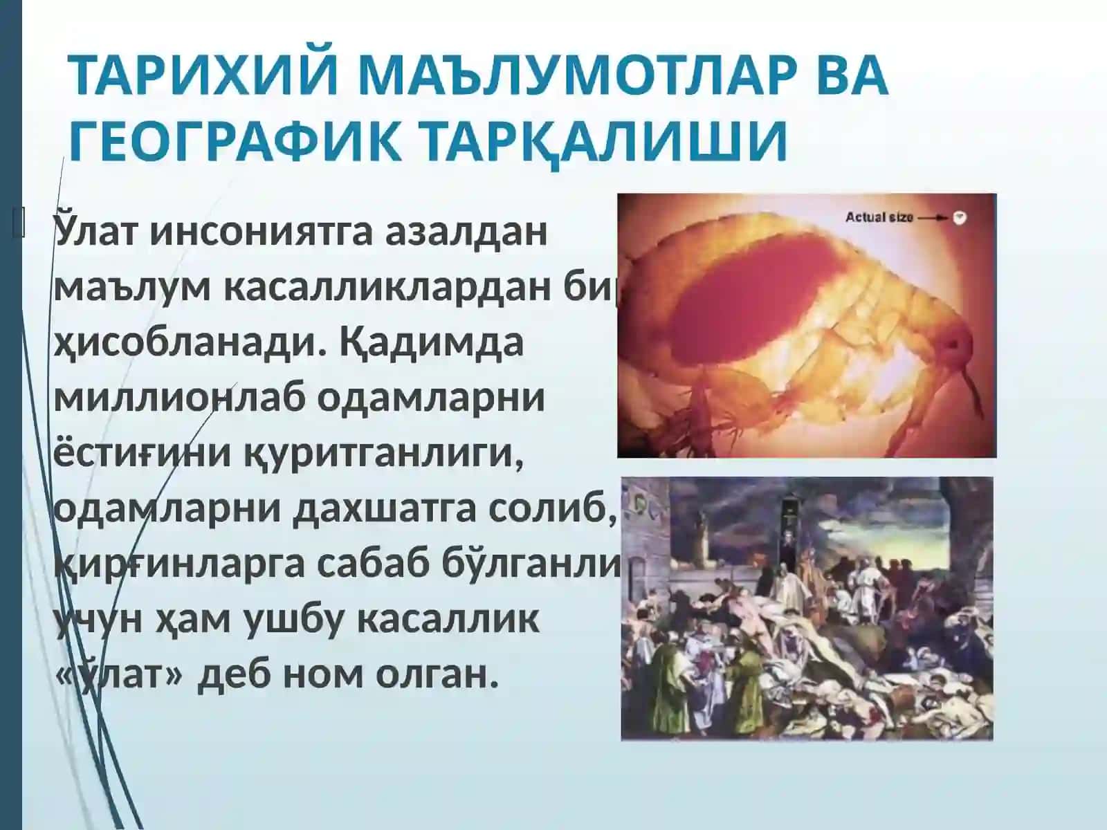 УЛАТ 3
