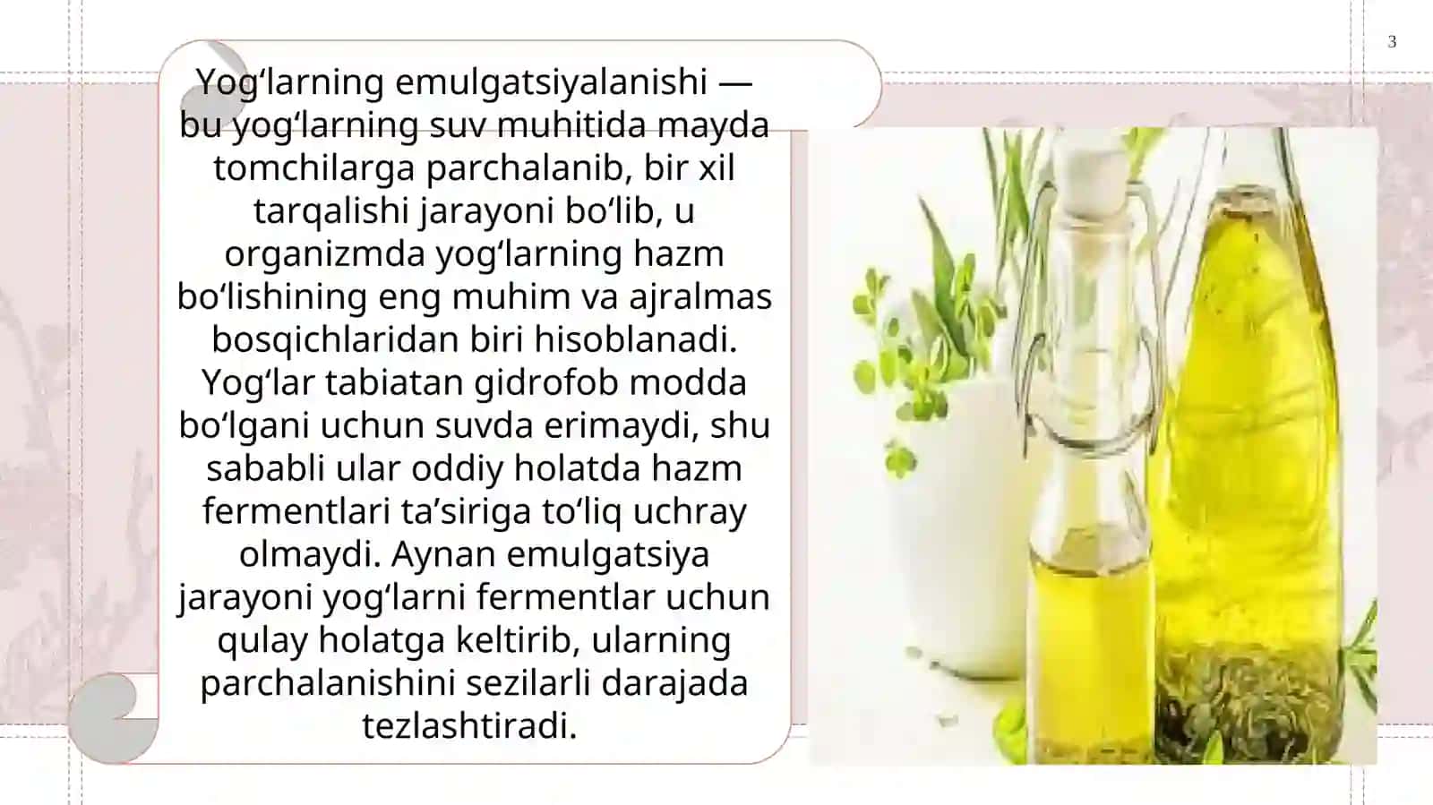 Yog‘lar va uglevodlarning hazm bo‘lish jarayoni 3