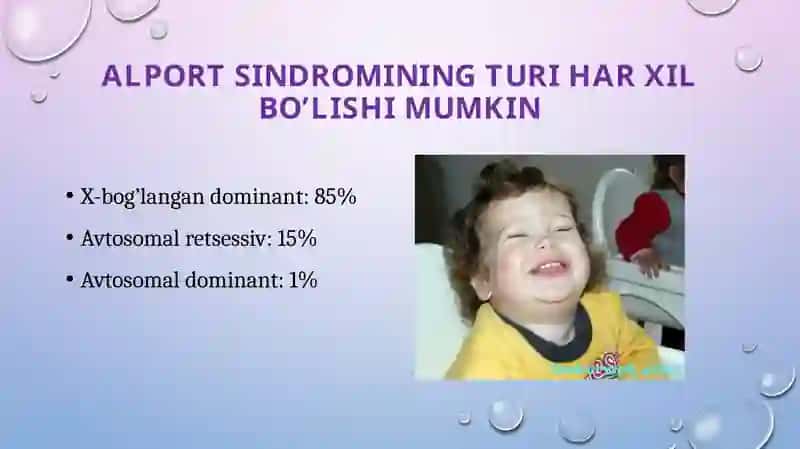 Alportsindromi 3