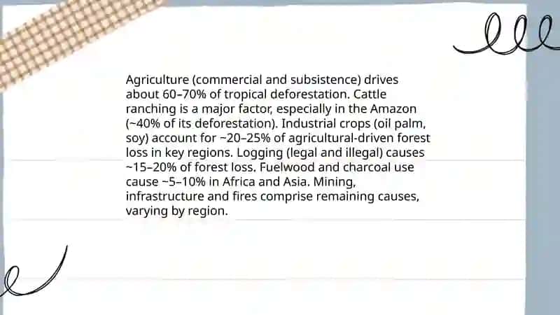 Deforestation 3
