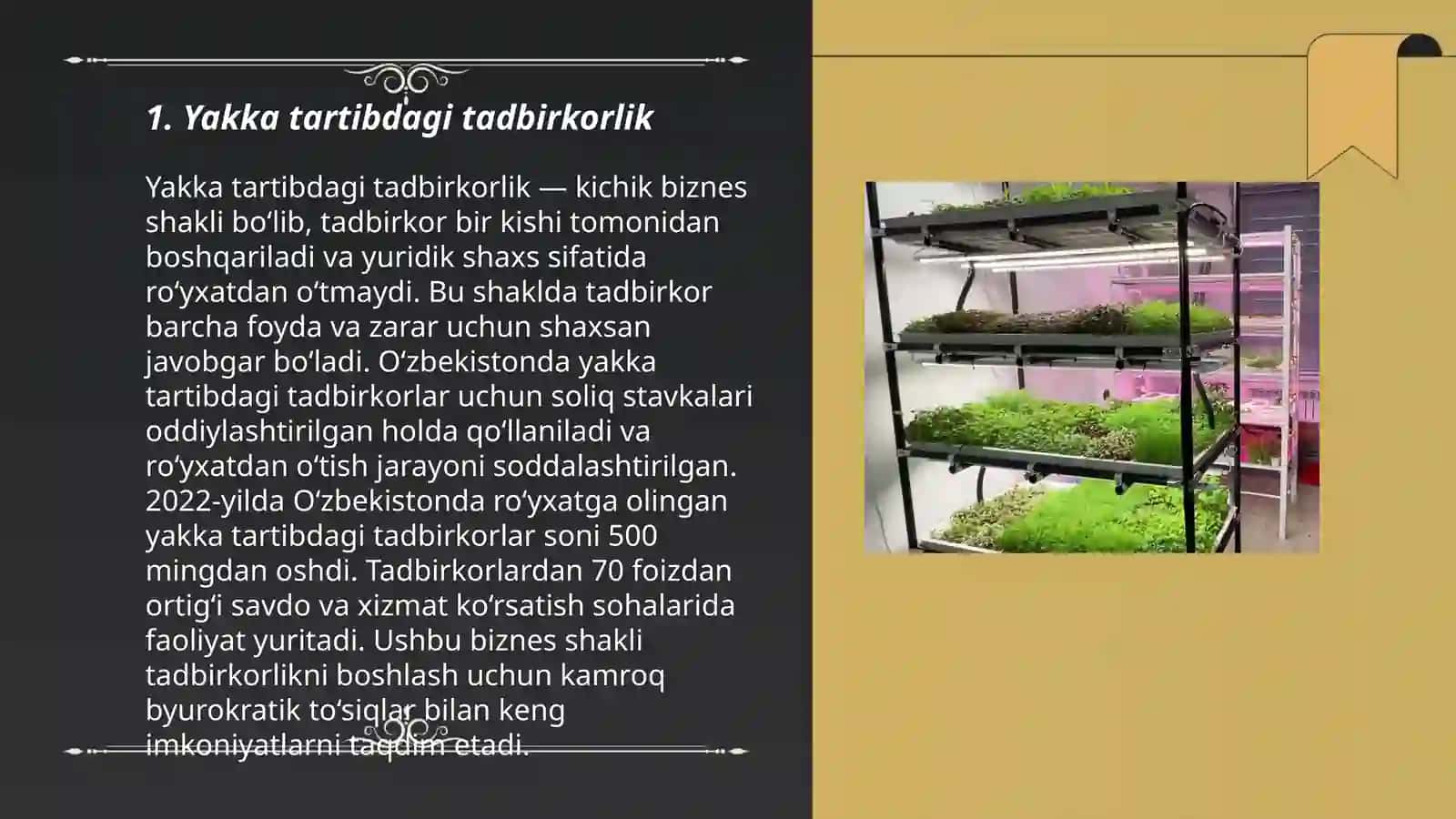 Yakka tartibdagi tadbirkorlik 3