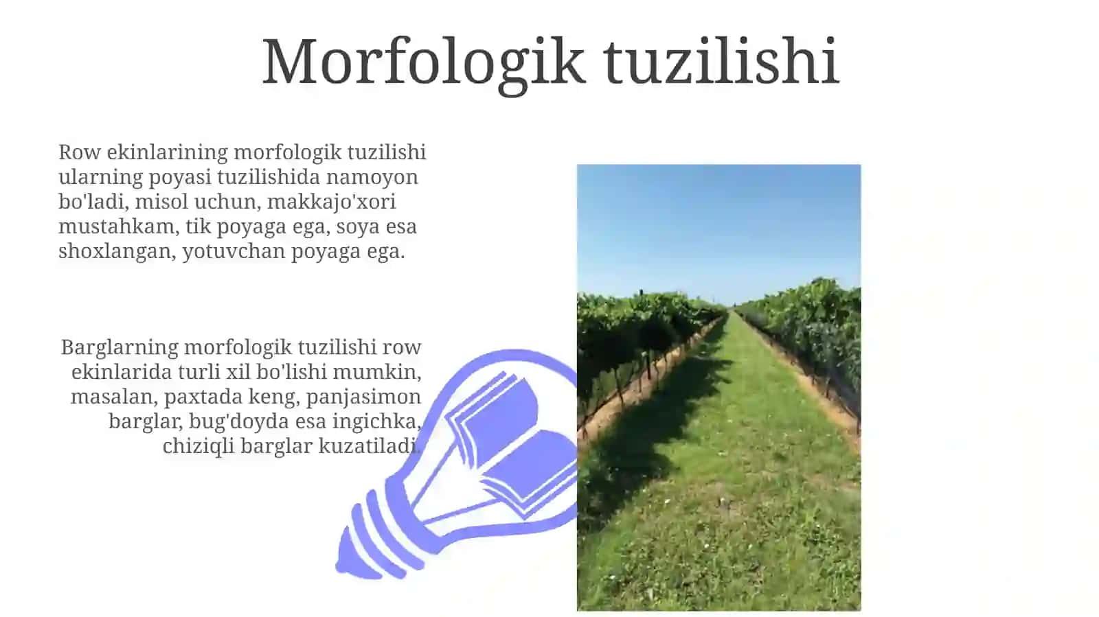 Polizekinlariningmorfologikvabiologikxususiyatlari 3