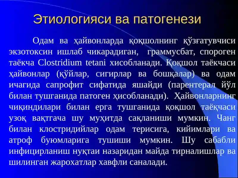 Қоқшол 3