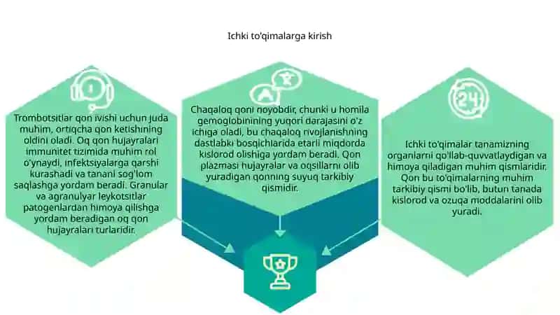 Ichki muhit toʻqimalari 3