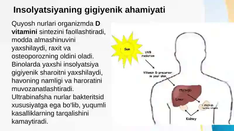Xonalarning insolyatsiyasi haqida tushuncha, uning ahamiyati. Xonalarning tabiiy yorug'ligini belgilovchi omillar 3