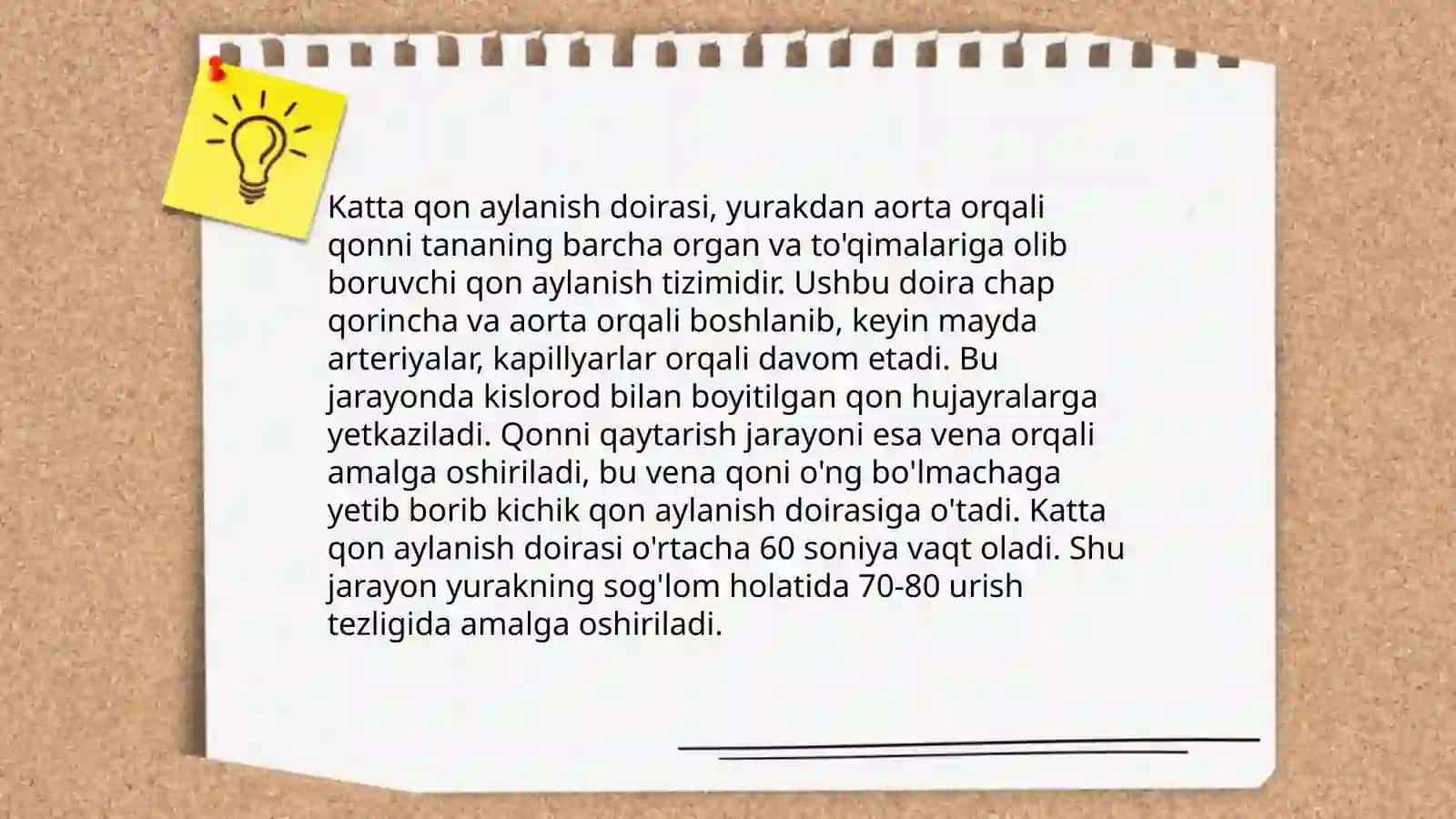 Katta va kichik qon aylanish doirasi 3