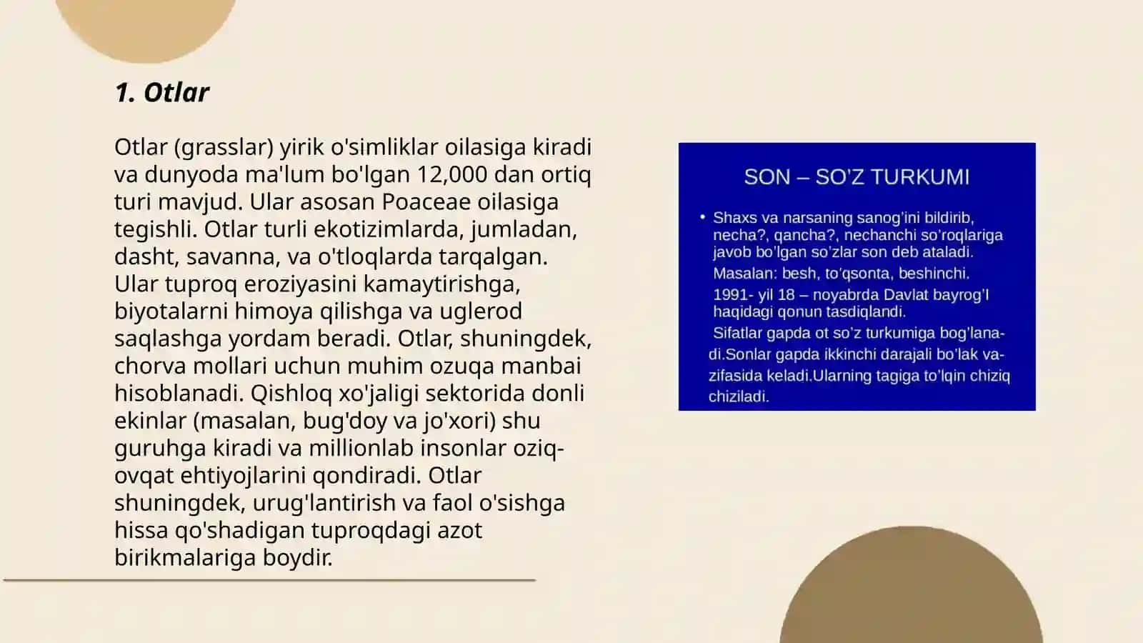 Otlar 3