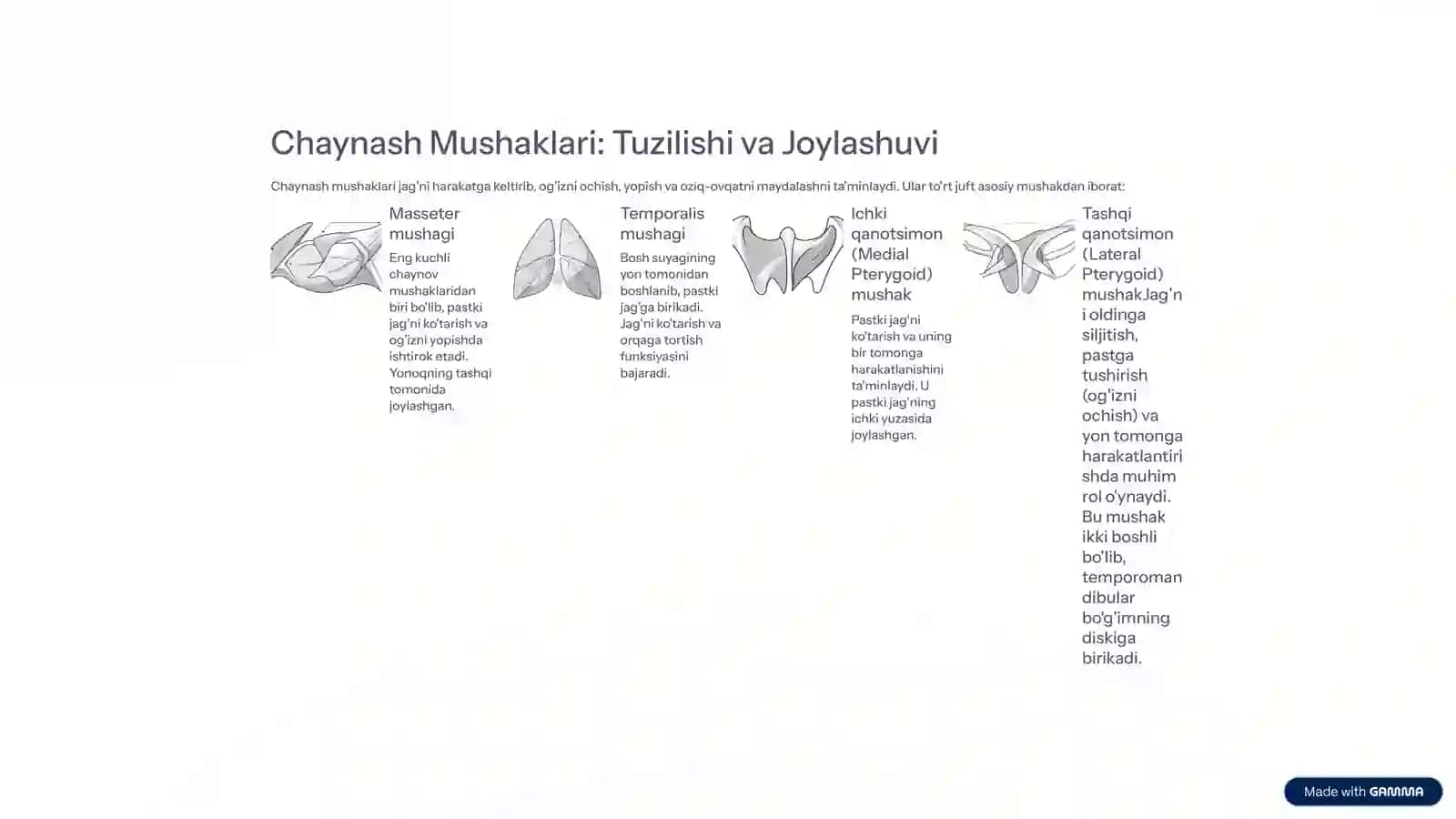 Chaynash Apparatining Umumiy Anatomiyasi 3