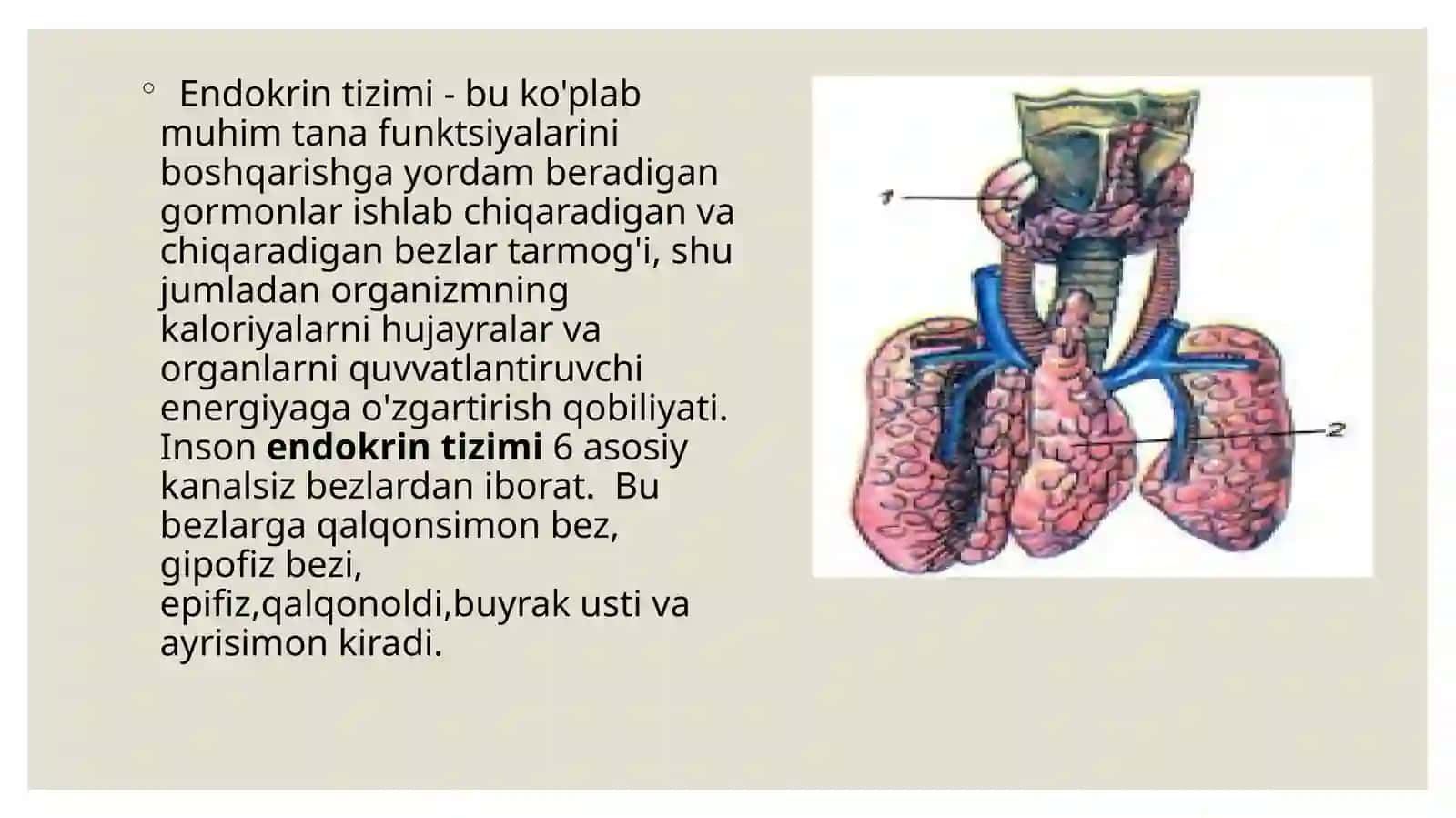 GISTOLOGIYA SITOLOGIYA EMBRIOLOGIYA 3