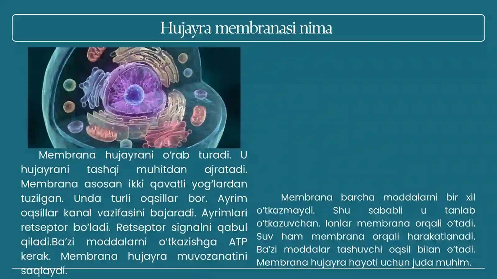 Signallami membrana orqali o'tkazilishi. Membranalar buzilishlarini patologik jarayonni kelib chiqis 3