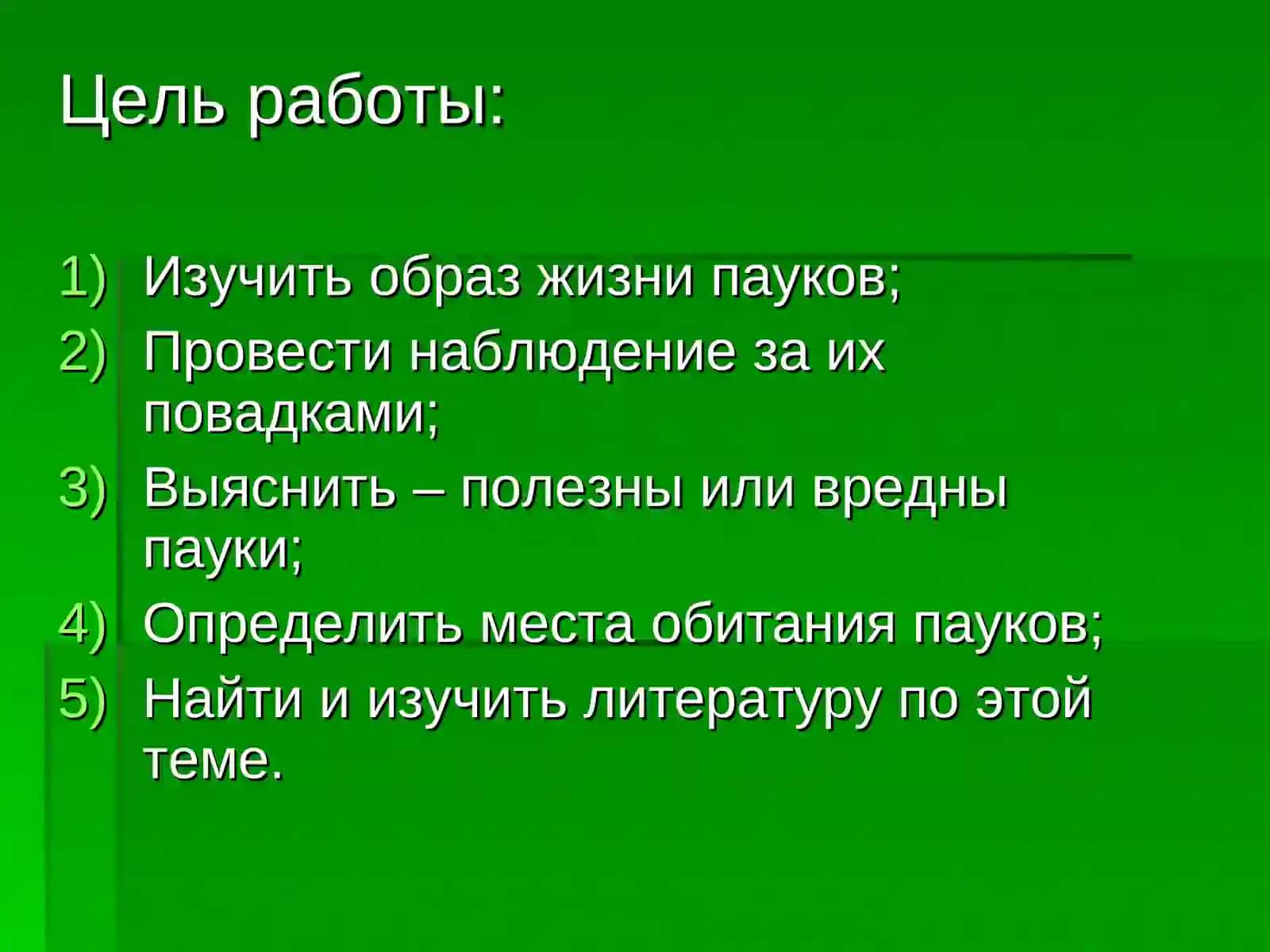 Кто такие пауки? 3