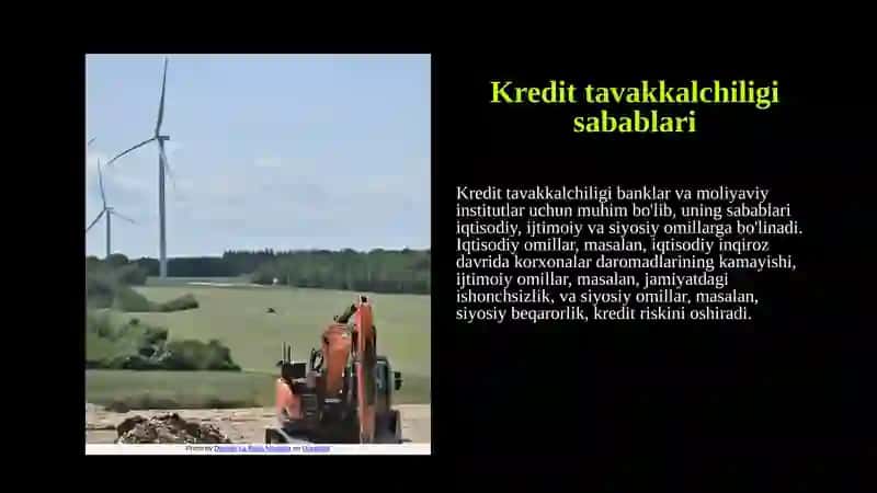 Kredit tavakkalchiligi: sabablari va nazorati 3