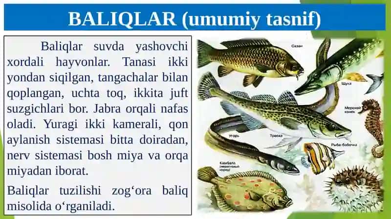 Biologiya 3