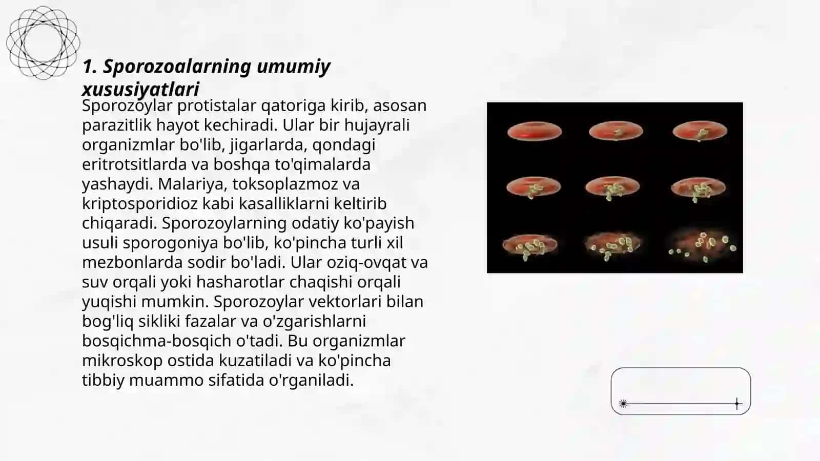 Sporalilar - bezgak plazmodiysi (bezgakni turli xillarini qo‘zg‘atuvchilari), Toksoplazma, Odam ichak parazitlari: dizenteriya amyobasi, balantidiy 3