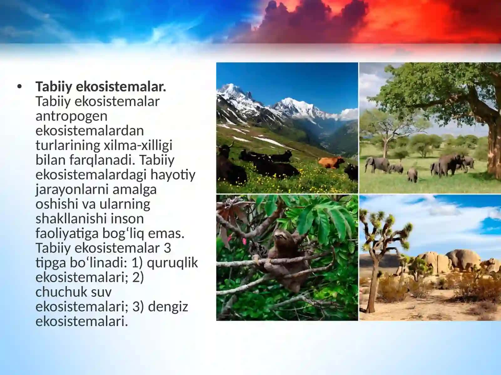 Ekosistemalar 3