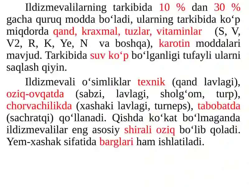 Ildizmevalilar ahamiyati 3