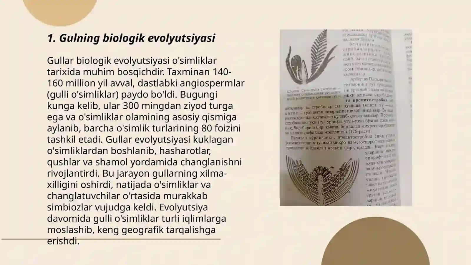 Gulning biologik evolyutsiyasi 3