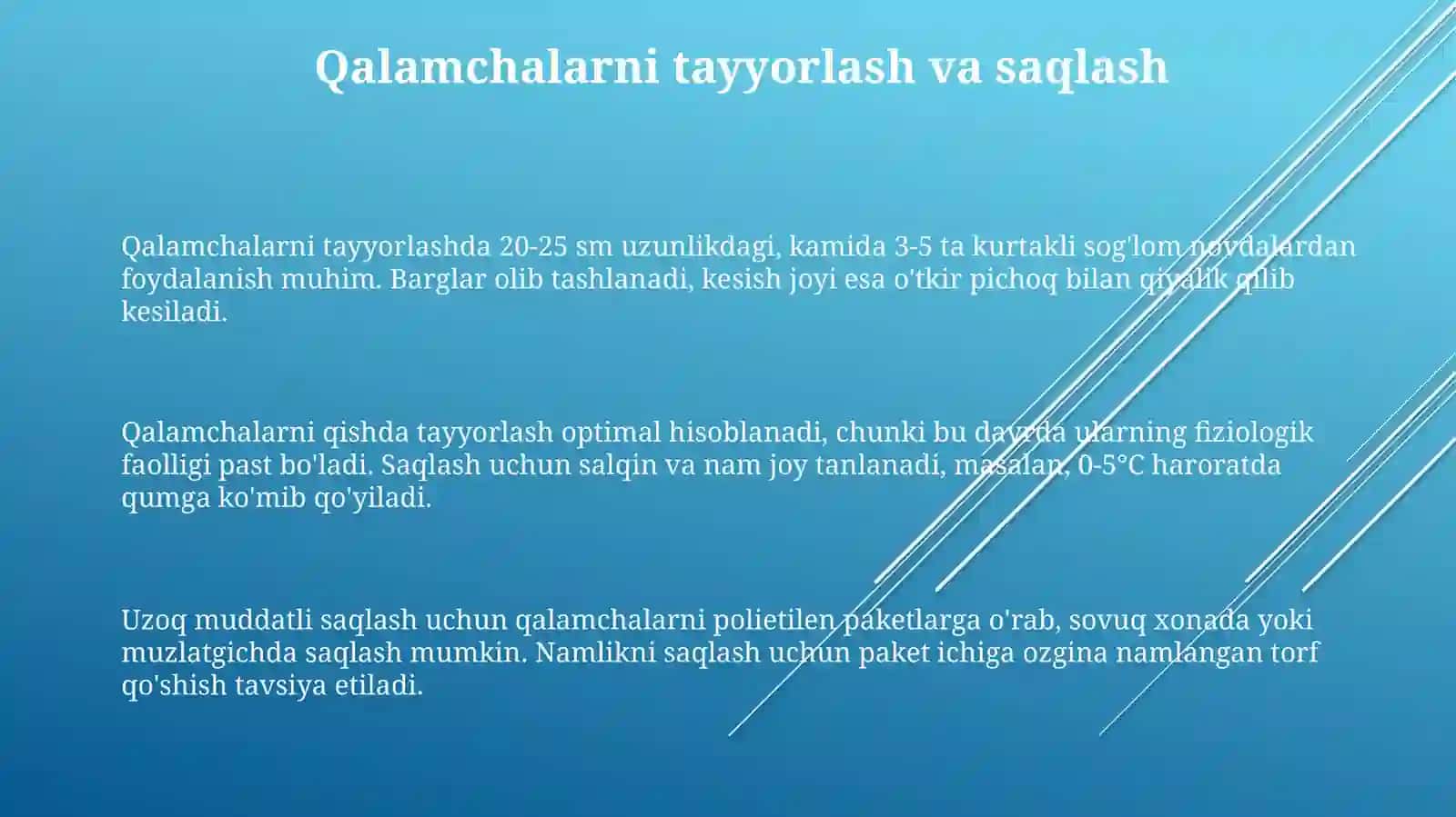 Tok qalamchalarini ekishdan oldin ishlov berish usullari 3