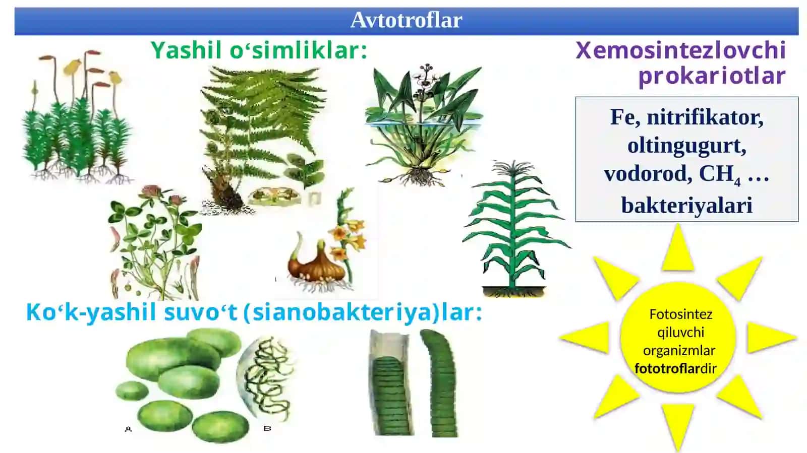"Hujayraning oziqlanishi, energiya almashinuvi bosqichlari mavzularini yoritishda biologik masalalardan foydalanish" mavzusida 9-sinf biologiya fanidan dars ishlanma. 3