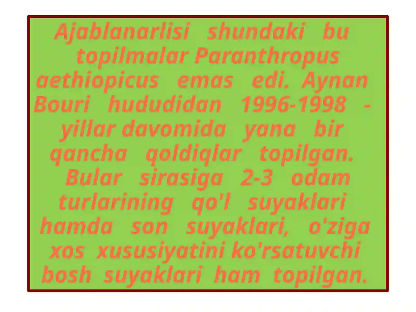 Australopithekusgarhi 3