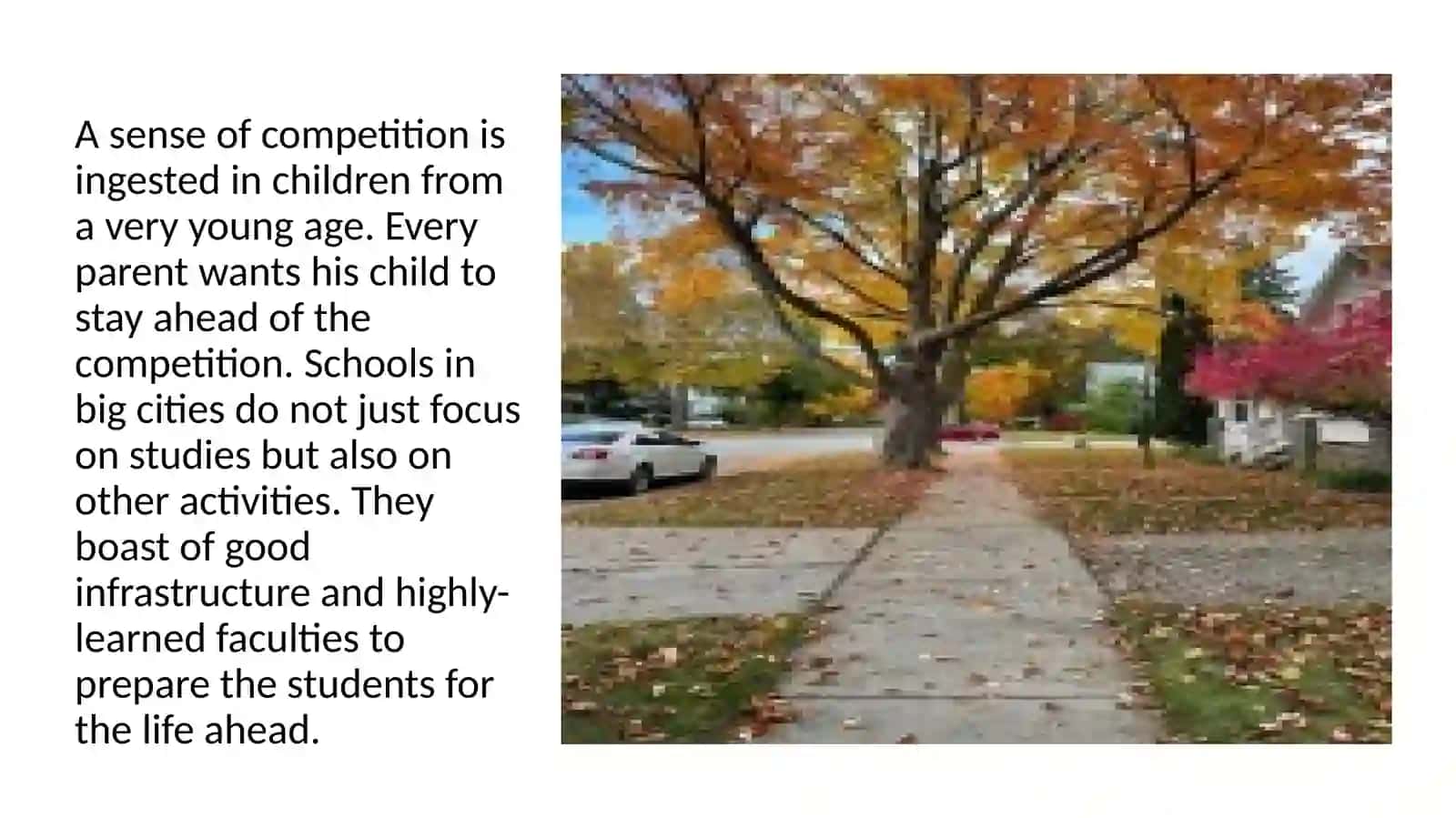 ESSAY 3