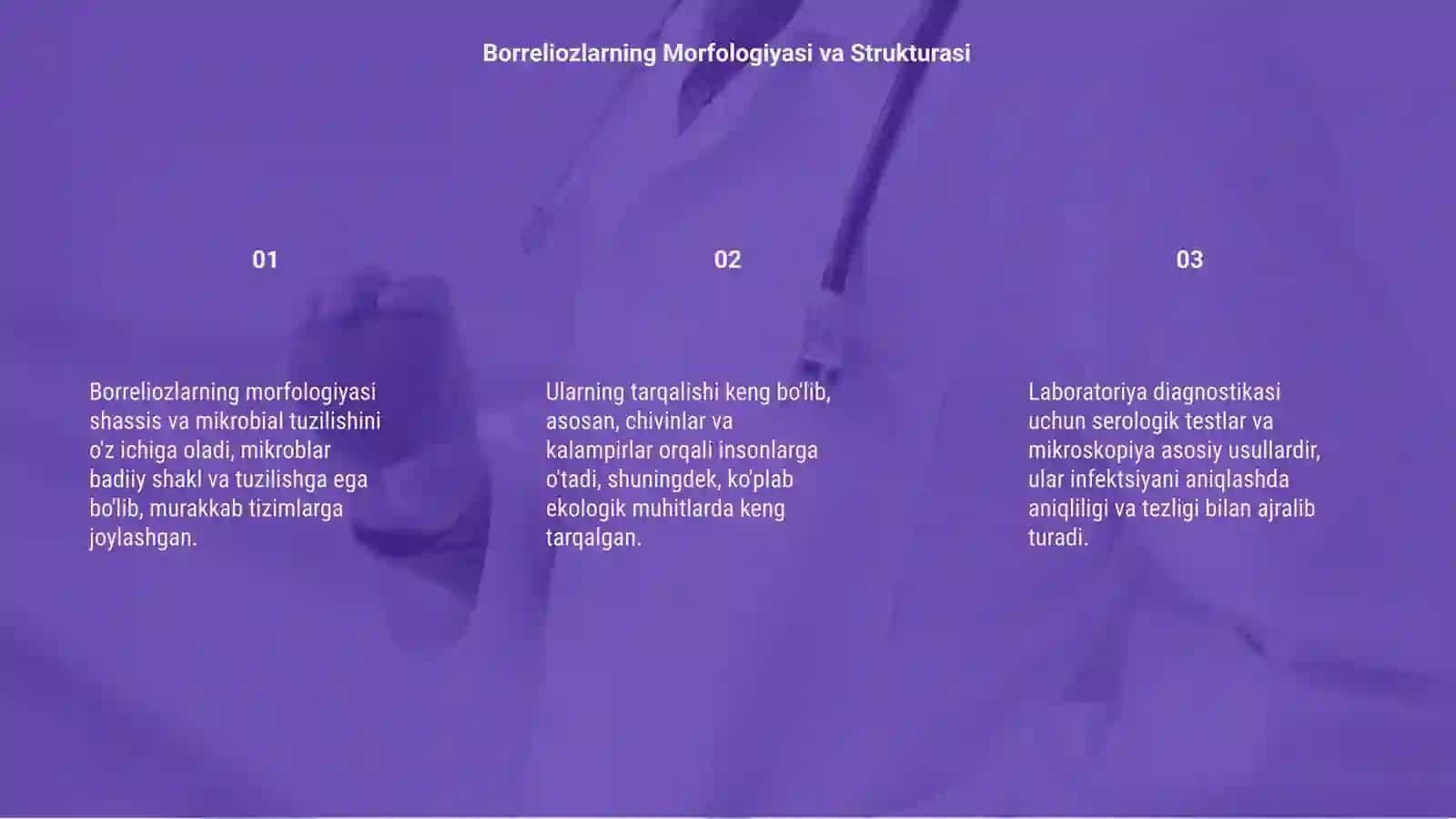 Borreliozlar morfologiyasi va strukturasi 3