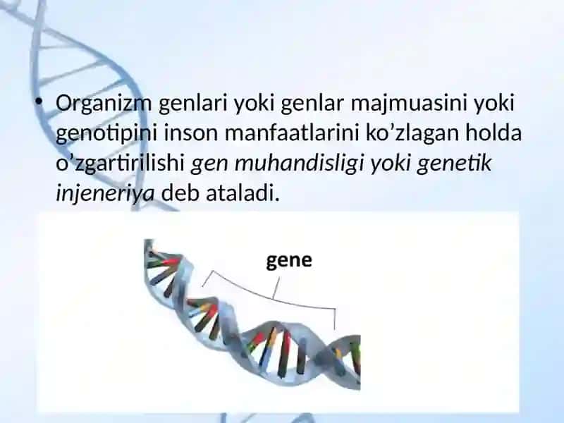 Gen muhandisligi fanining rivojlanish tarixi va bosqichlari 3